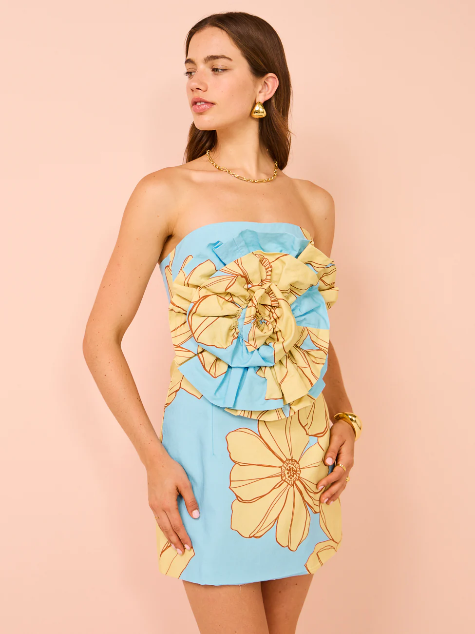 Issy Rose Bodice Mini Dress in Summer Print - Image 5